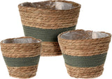 Flowerpot natural rope set 3 pieces - dark green