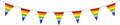 Vlaggenlijn 10 meter Regenboog