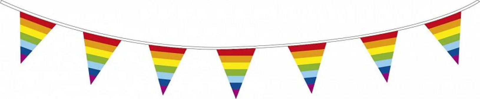 Vlaggenlijn 10 meter Regenboog